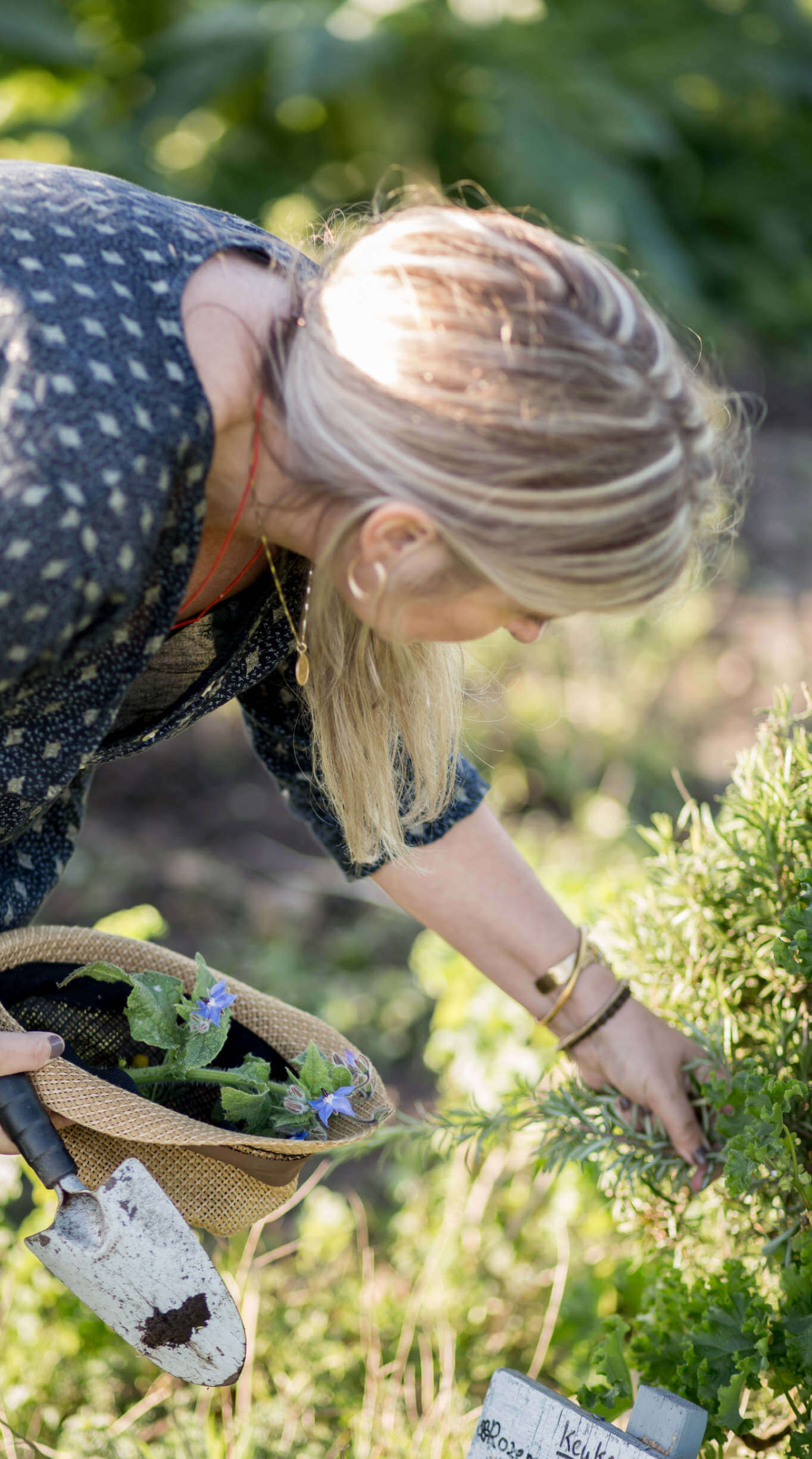 hand plukken ingrediënten natuurlijke skincare Colour&Spice