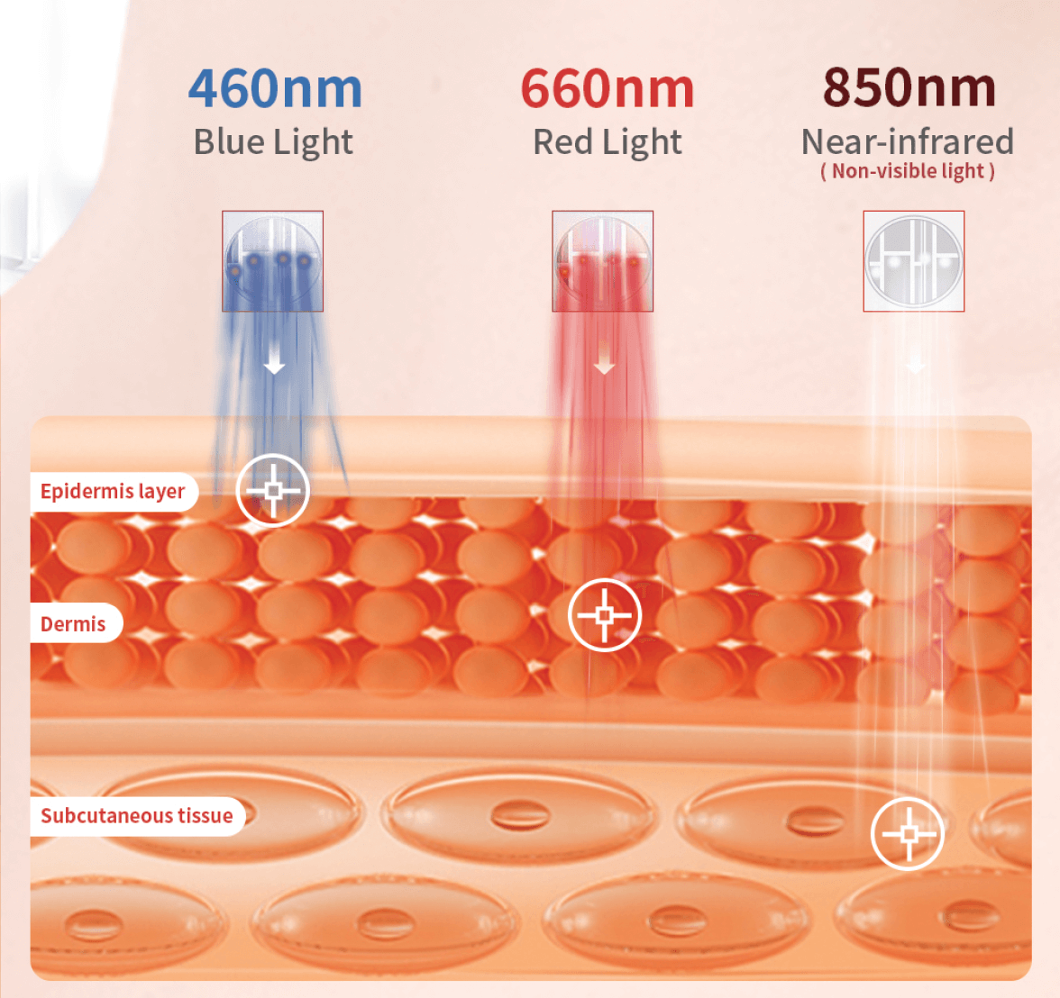 de diepte inwerking van verschillende kleuren lichttherapie op de huid