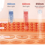 de diepte inwerking van verschillende kleuren lichttherapie op de huid